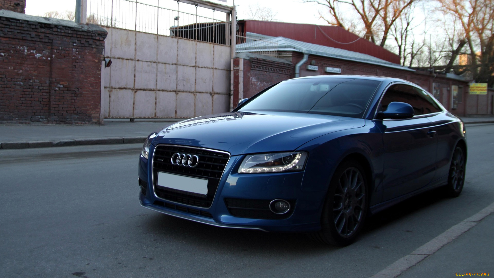 audi, a5, , volkswagen, group, 